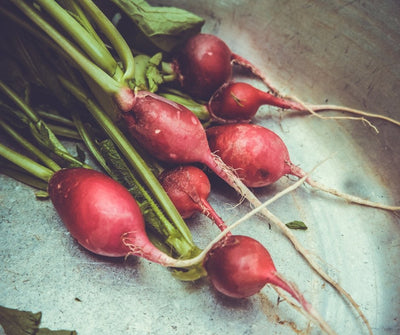 6 Reasons Why I’m Eating Radishes and Why You Should Too
